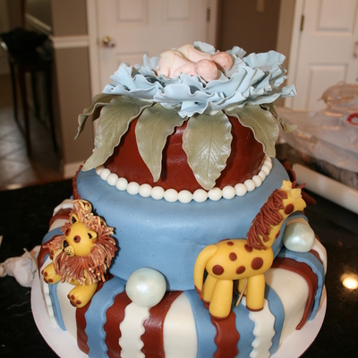 Baby Shower Cake For Twins