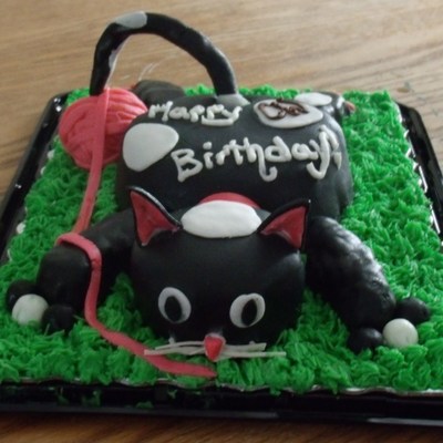 Cat Cake