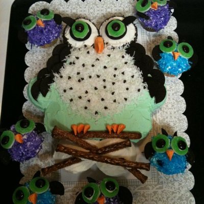 My Sister's Birthday Owl Cupcake Cake.