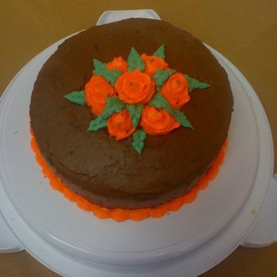 Wilton Decorating Basics Final Cake