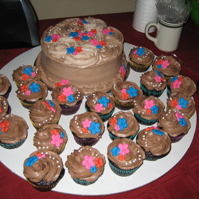 Chocolate Cake And Cupcakes