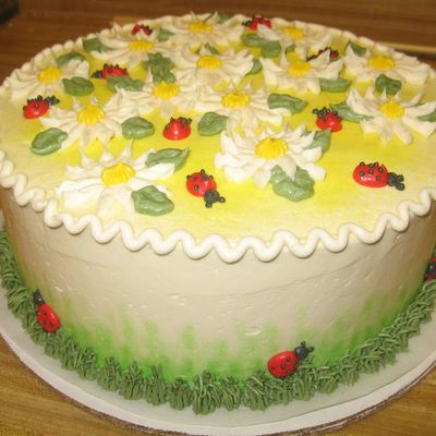 Daisies And Ladybugs