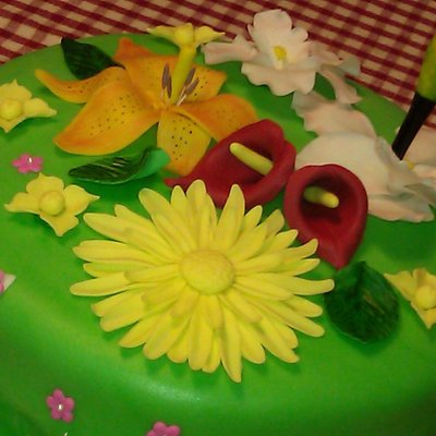 Hummingbird And Flowers