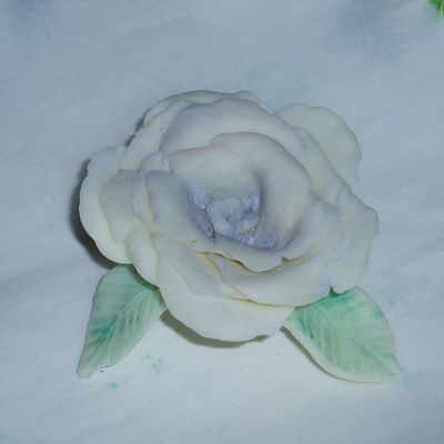 First White Chocolate Rose