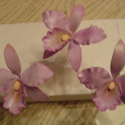 Orchids