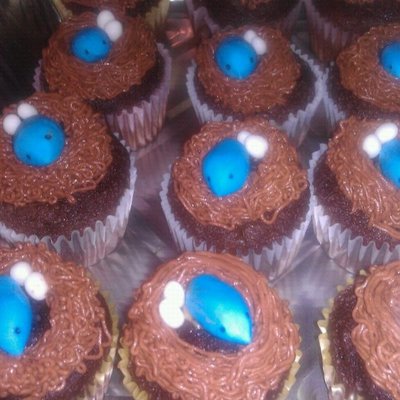 Bird Nest And Egg Cupcakes