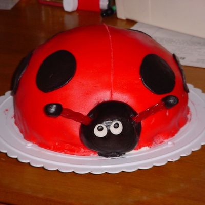Ladybug Cake