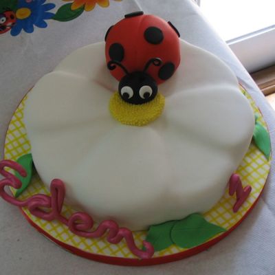 Ladybug And Daisy Cake