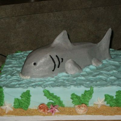 Shark!!