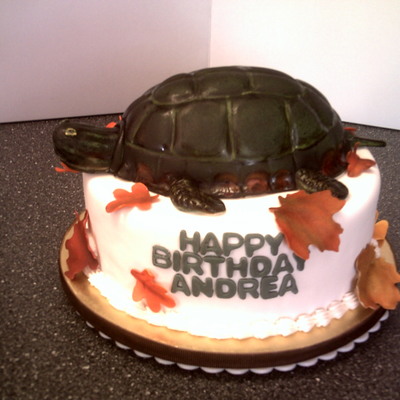 Turtle Cake