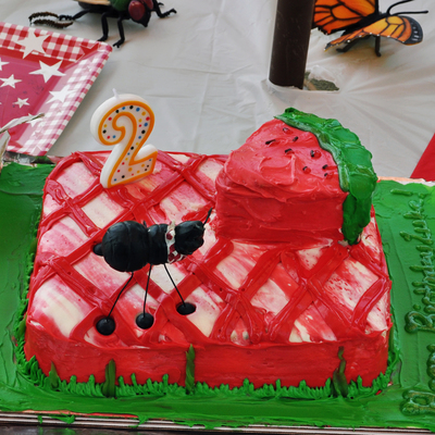 Luke's Picnic Birthday