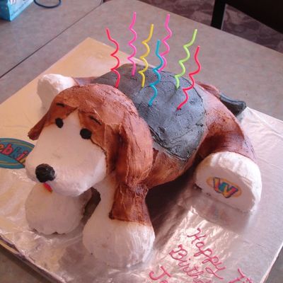 Webkinz Beagle