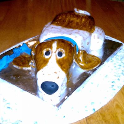 Dog, Basset Hound