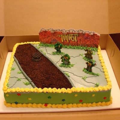 Ninja Turtle Cake