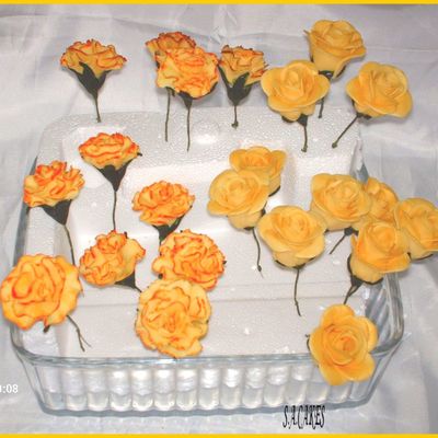 Carnations & Roses