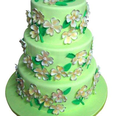 Dogwood Cake