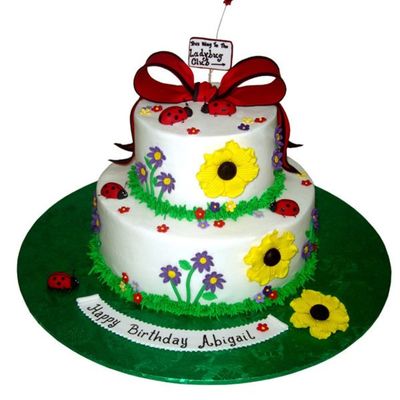 Ladybug Cake