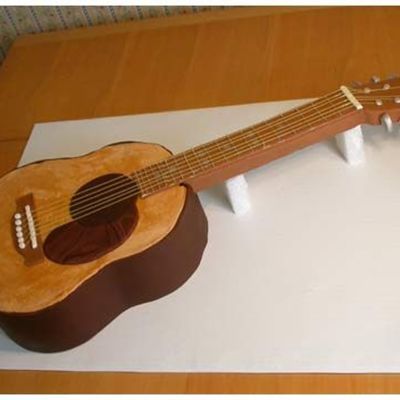 Acoustic Guitar