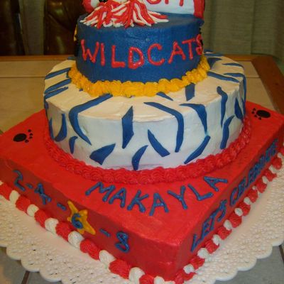 Hsm/cheer Cake