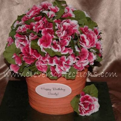 Large Flower Pot