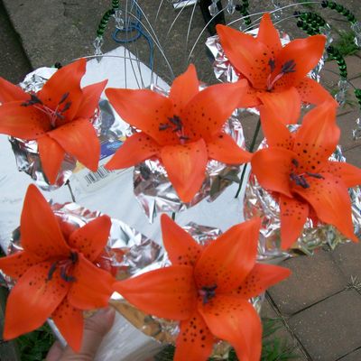 Tiger Lilies