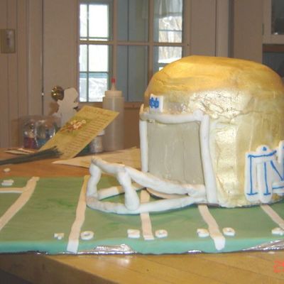 Notre Dame Football Helmet