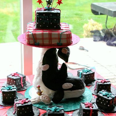 Webkinz Orca Whale Cake