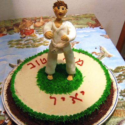 Judo Cake