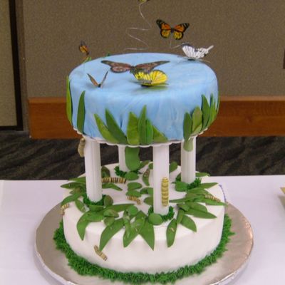 Butterfly Life Cycle For 2005 Arizona Annual Cake And Sugar Arts Show
