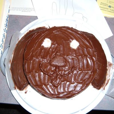 My First Shaped Cake - The One That Started It All