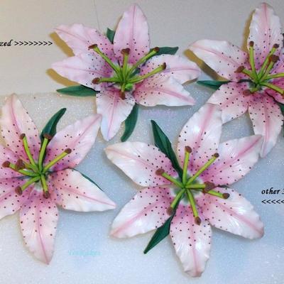 Stargazer Lilies