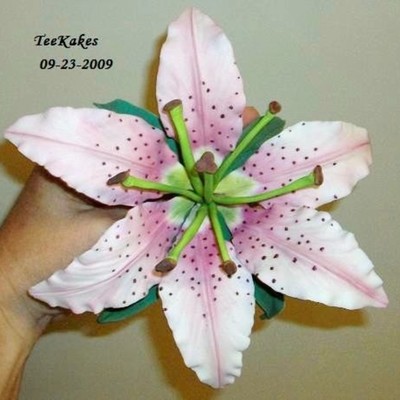 Stargazer Lily