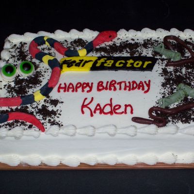 Another View Of Fear Factor Cake