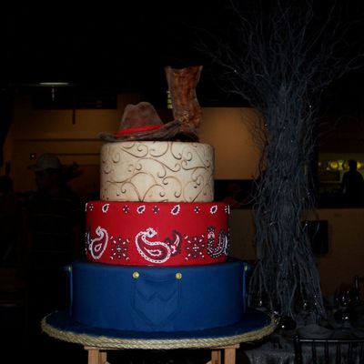 Closer View Of Texas Themed Cake