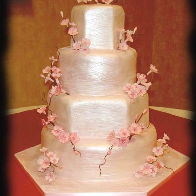 Cherry Blossom In Bloom