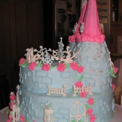 Sideview Of Winter Princess Castle