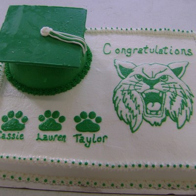 Bocat Graduation Cat