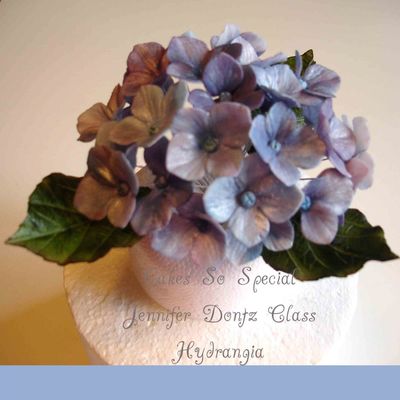 Hybiscus In Purples And Blues