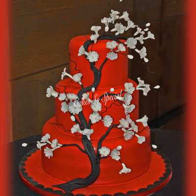 Cherry Blossoms On Red