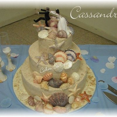 Sea Shells In The Sand