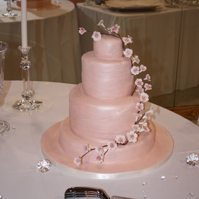 Cherries In The Snow