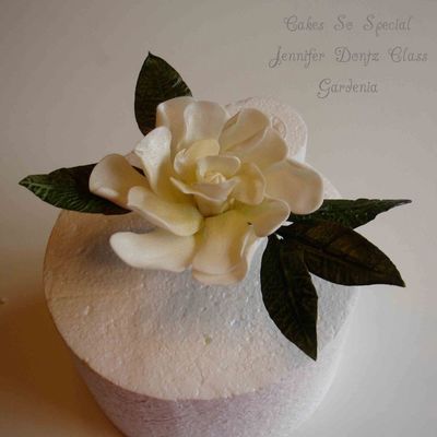 Gardenia