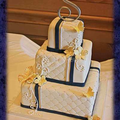 Butterflies In Galveston