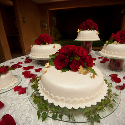 Roses And Butterflies