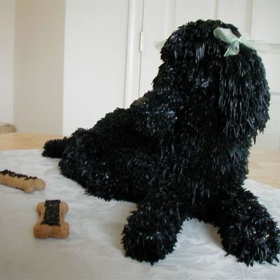 Black Poodle - Side View