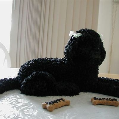Black Poodle - Front View