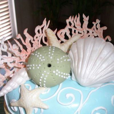 Oval Cake With Sea Shells