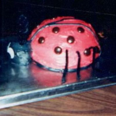 Ladybug Cake