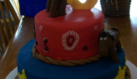 Bull Riding Birthday Cake - CakeCentral.com