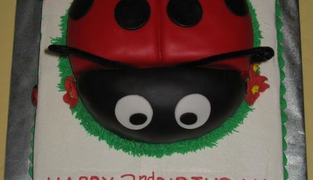 Ladybug Cake - CakeCentral.com